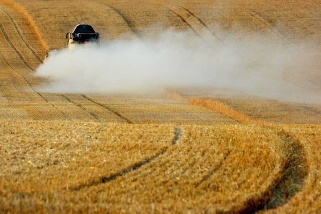 combine harvester field