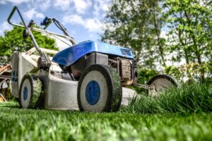 lawn mower garden