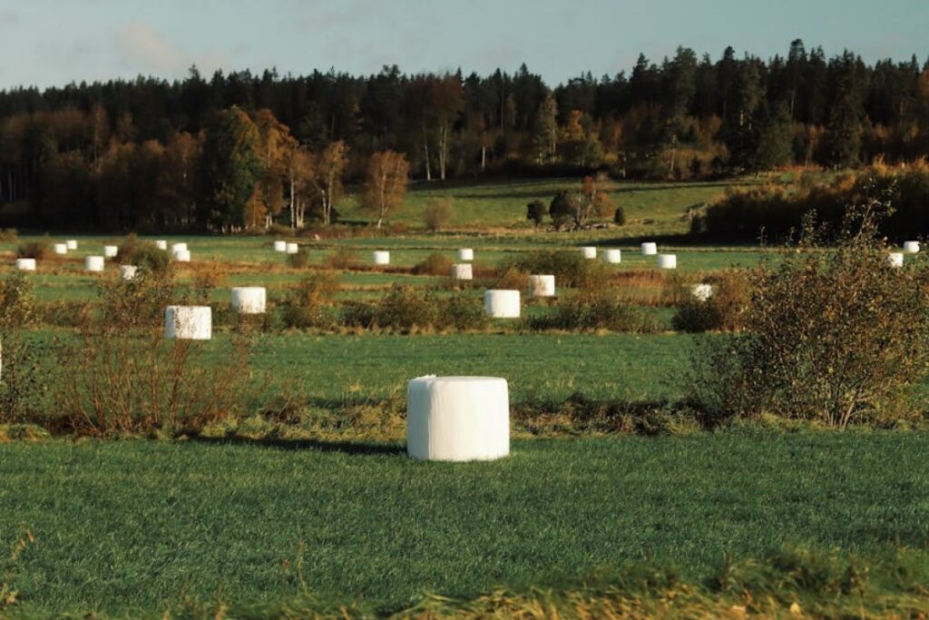silage bales