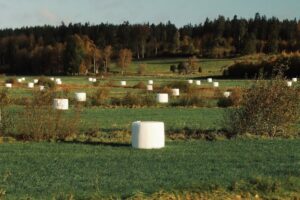 silage bales