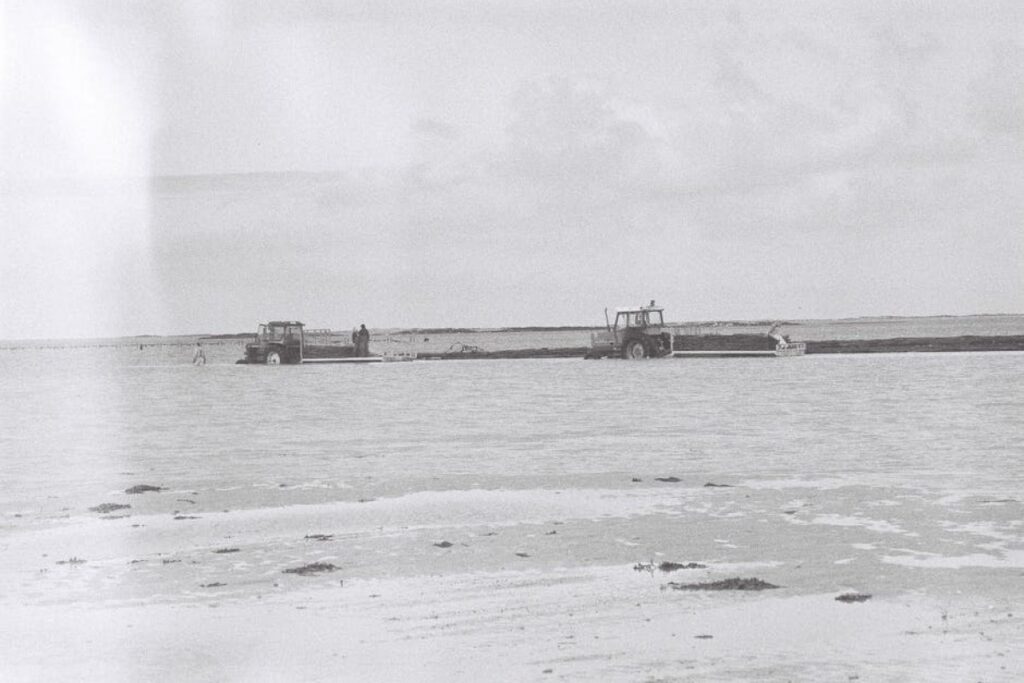 tractor T25