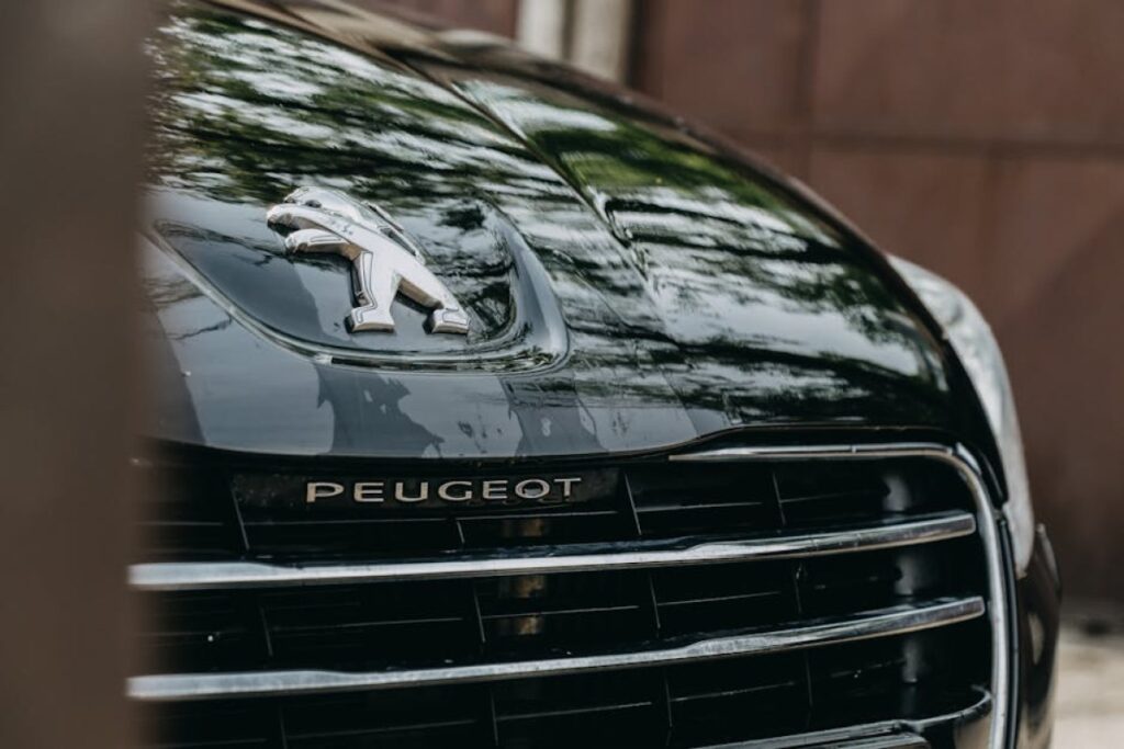Peugeot 2008 black car