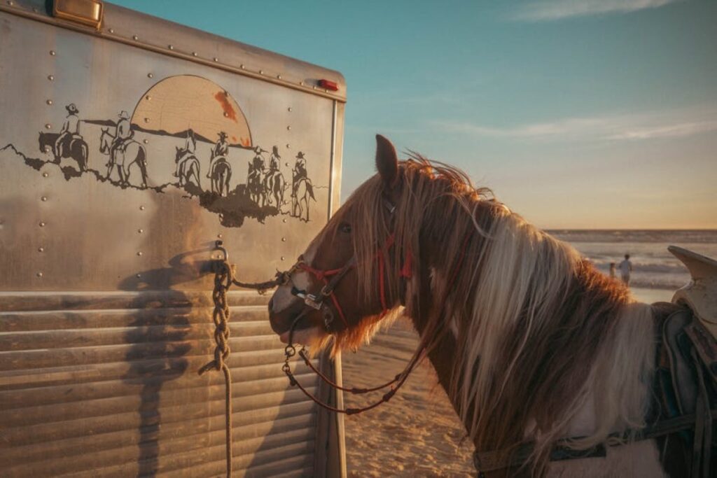 horse trailer