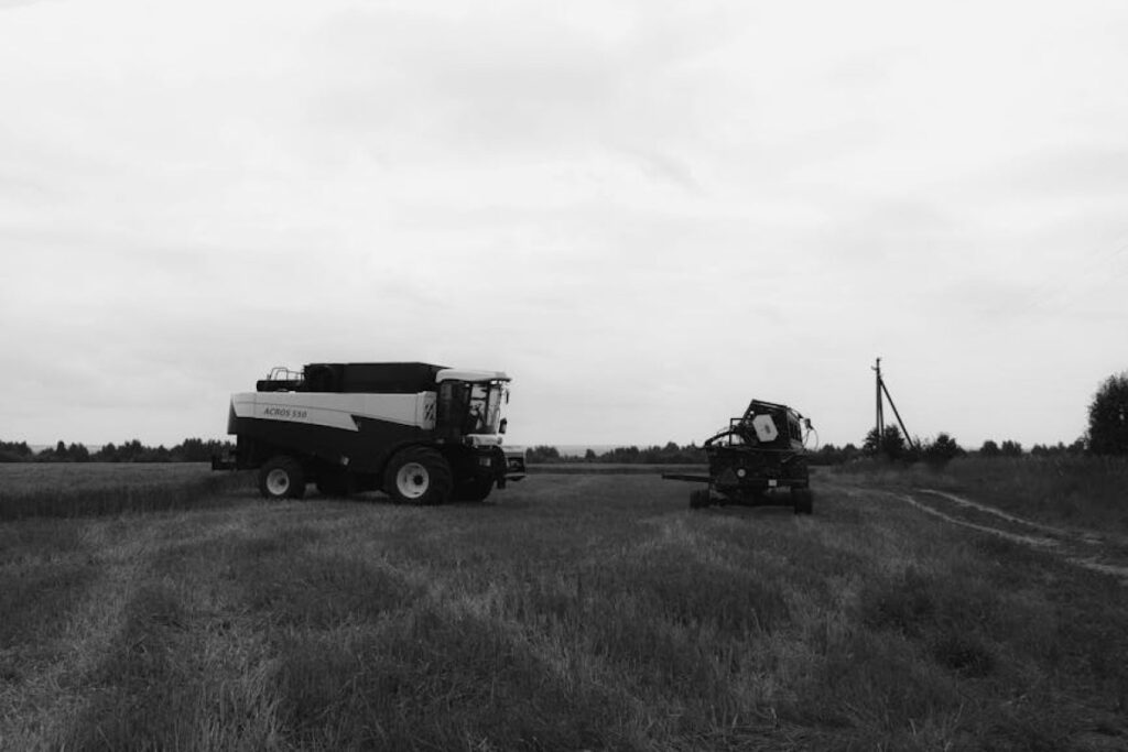 Bizon combine harvester