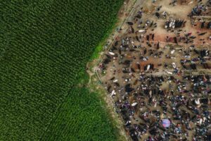 agricultural fair