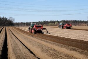 field cultivator potato