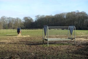 horse feeder