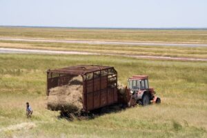 trailer for bales