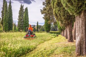 flail mower field