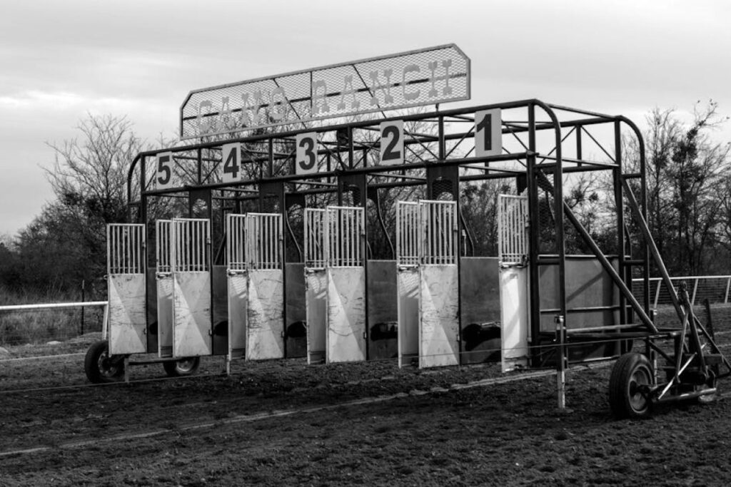 cattle crush scale