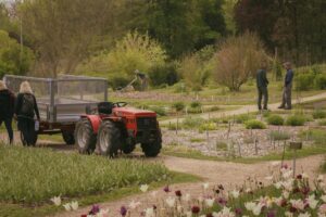 garden tractor