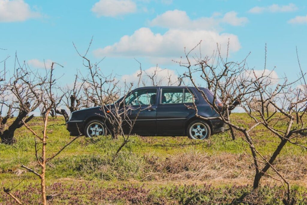 black Volkswagen Golf