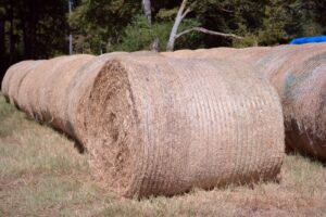 hay bales