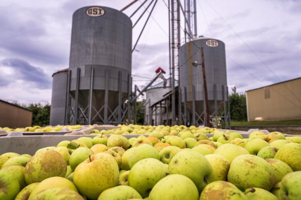 apple orchard transformation
