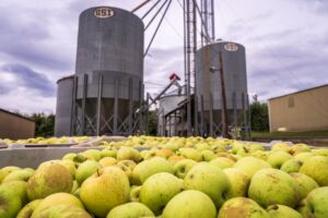 apple orchard transformation