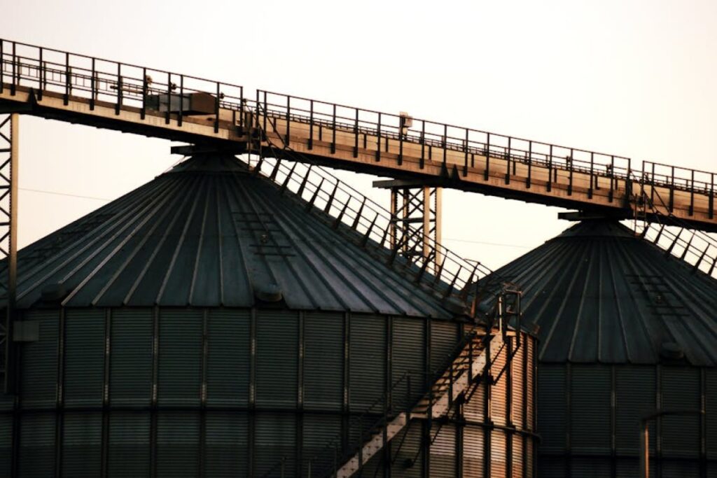 agricultural platform conveyor