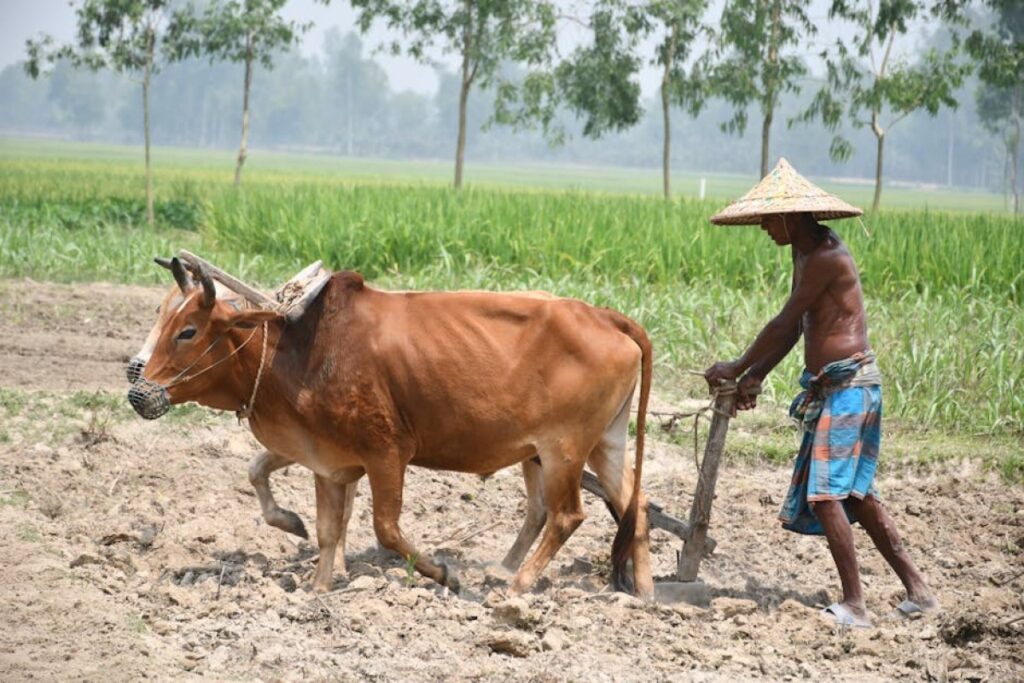 plough agricultural