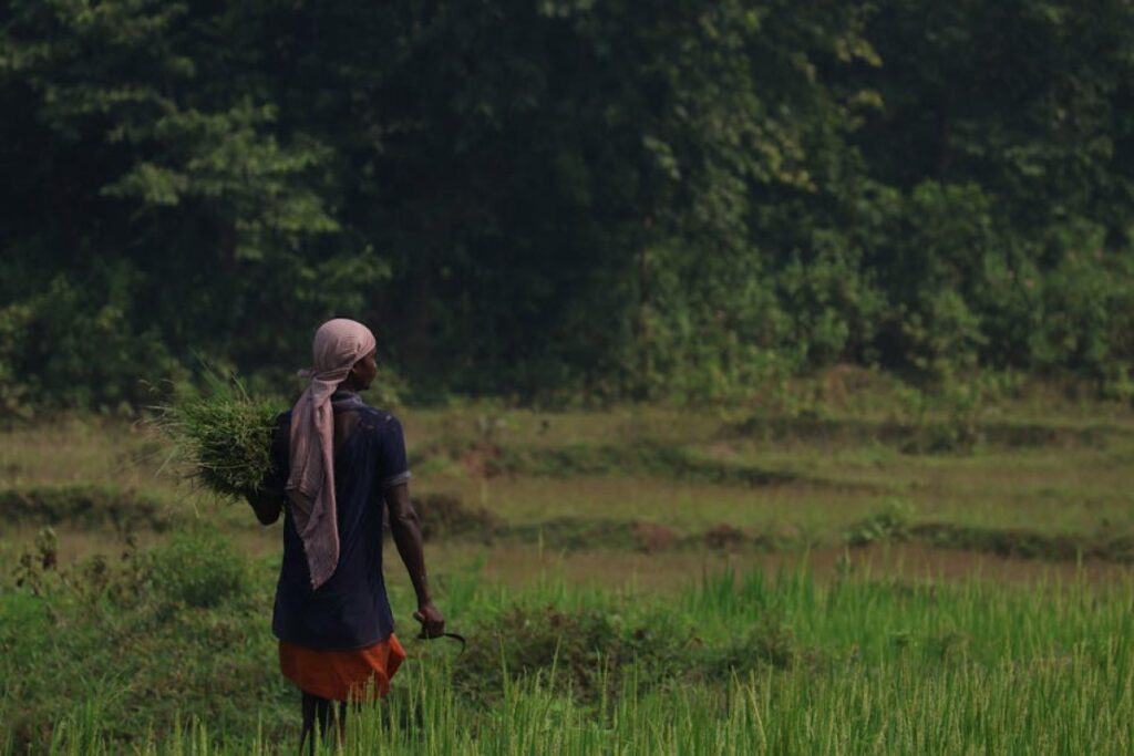 farmer in field