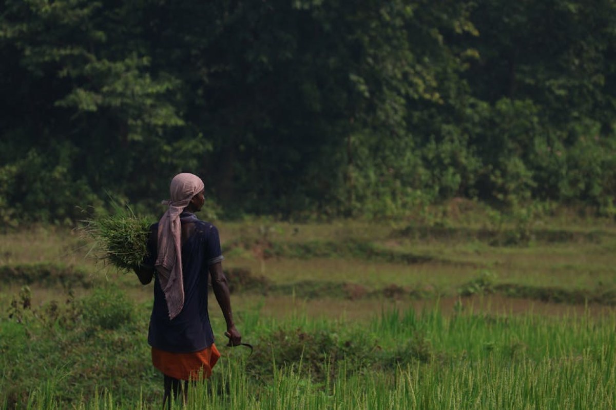 farmer in field