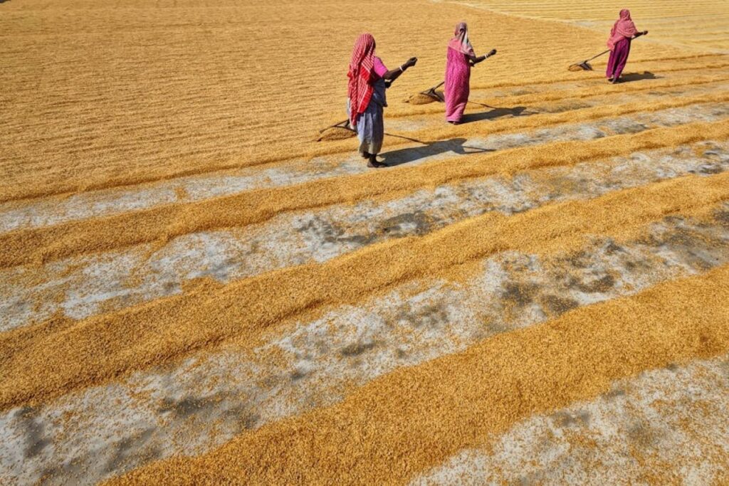 farmers protest grain