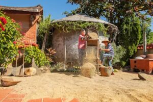grain winnowing machine