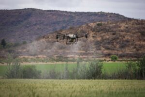 drone spraying crops
