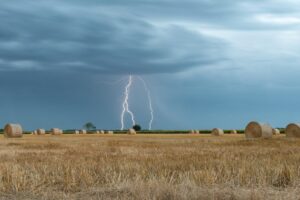 electric telehandler farm