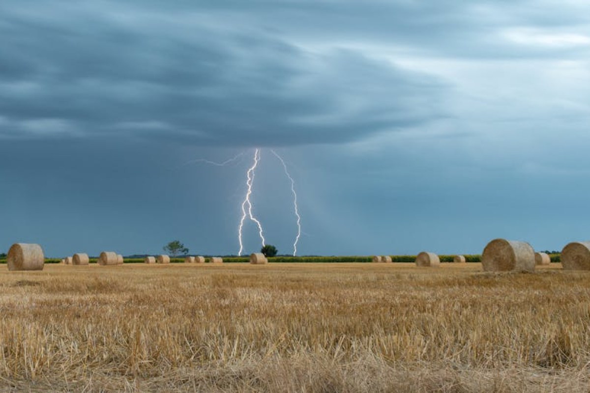 electric telehandler farm