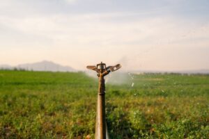 irrigation sprinkler