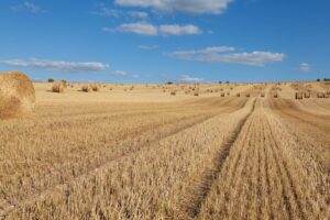 straw bales