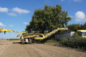 mulcher noremat