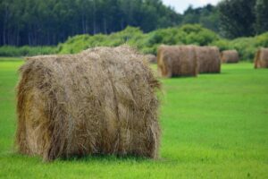 hay bales