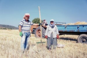 rake hay pottinger