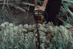 chainsaw Sweden