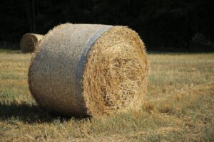 hay bales straw