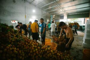 fruit market