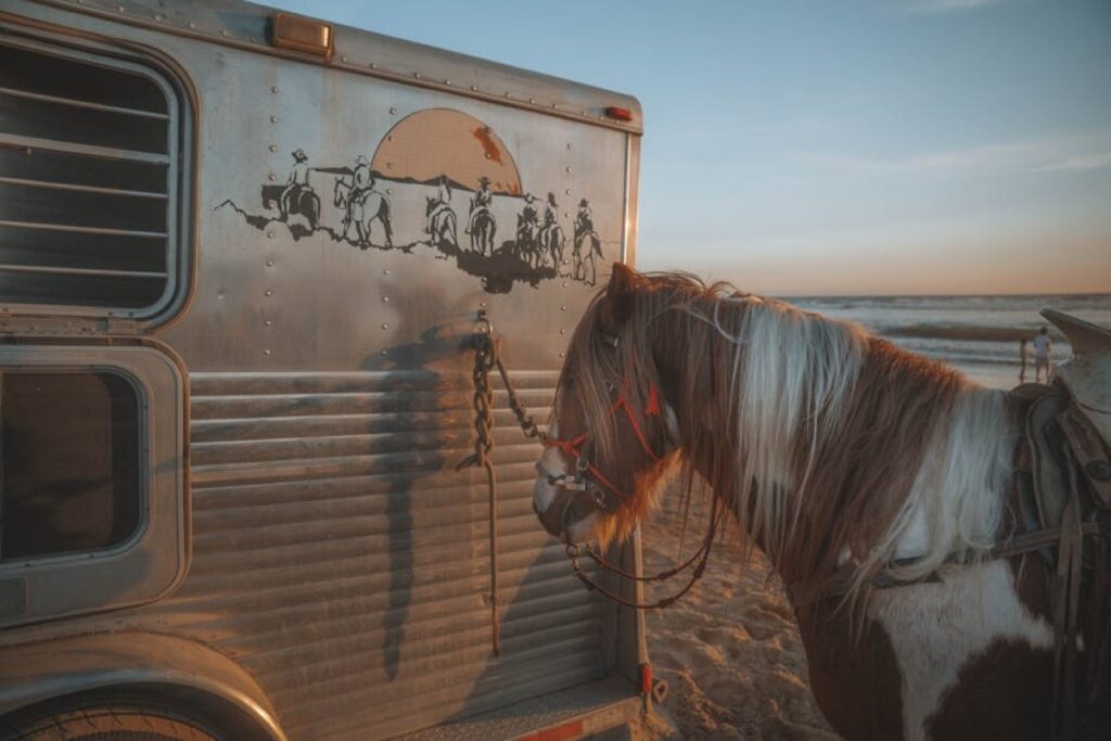 horse trailer