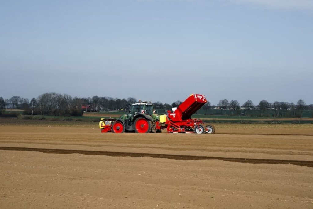 potato field europe