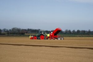 potato field europe