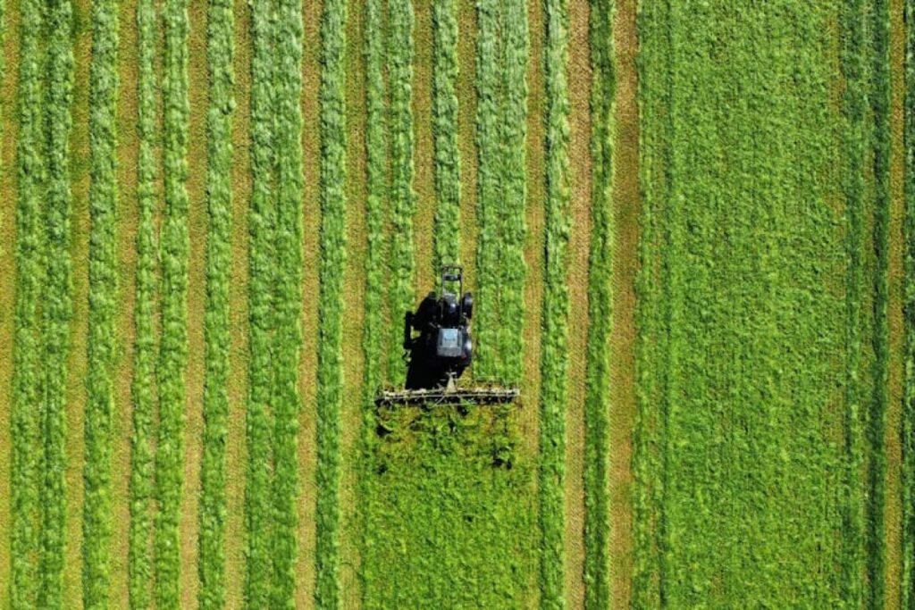 green tractor Zoomlion