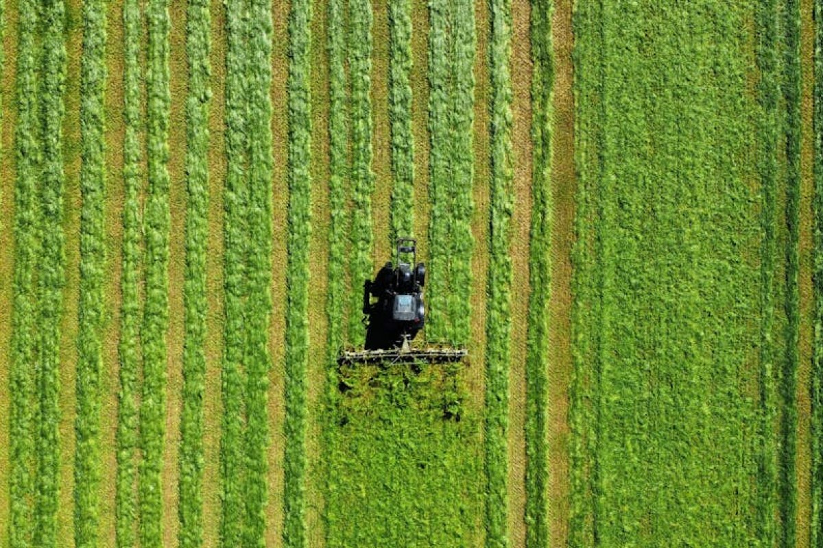 green tractor Zoomlion