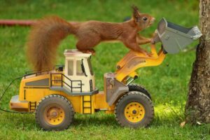 mini loader Kingway