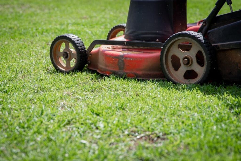 rotary mower