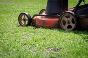 rotary mower