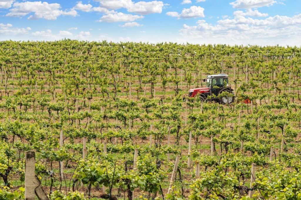 tractor orchard