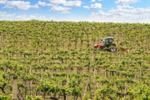 tractor orchard