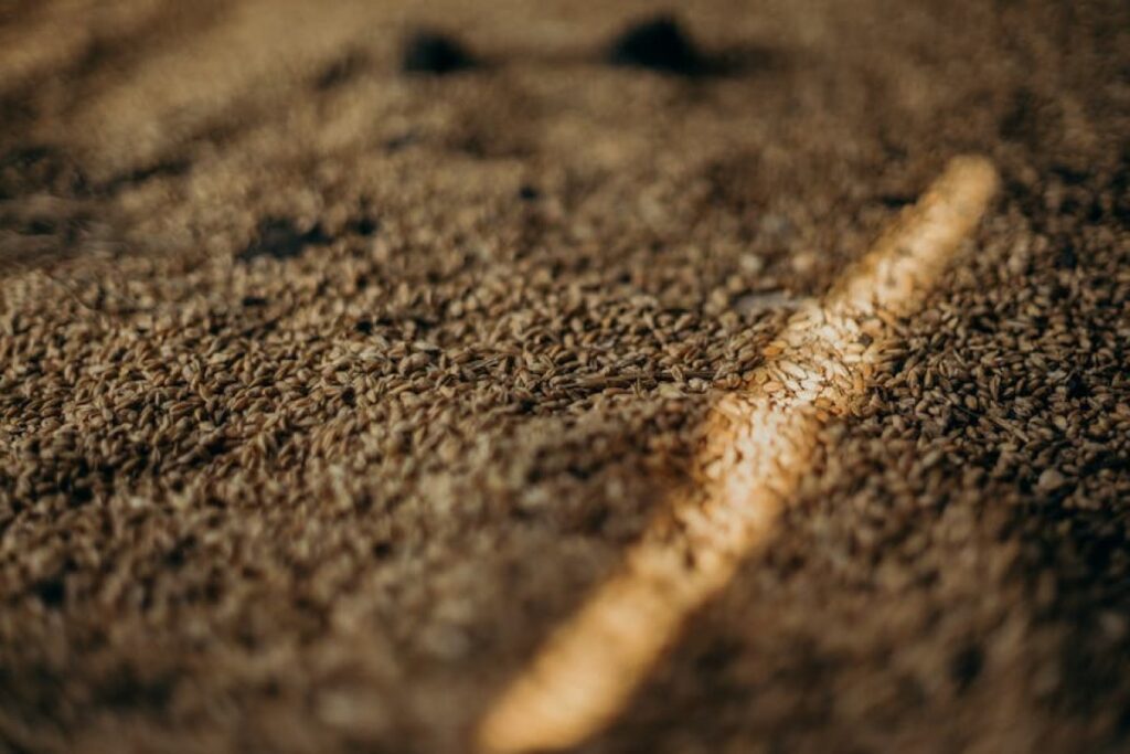 grain header