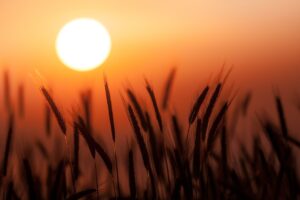 Nadchodzi fala upałów w Polsce. Temperatura może sięgnąć 35°C