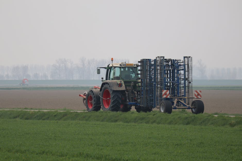 Osiem ciągników i różne technologie w jednym gospodarstwie – rozmowa z Robertem Szymczakiem
