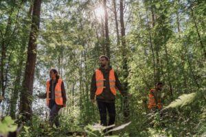 Landseed: nowa spółka tworzy rynek finansowy dla projektów ochrony przyrody